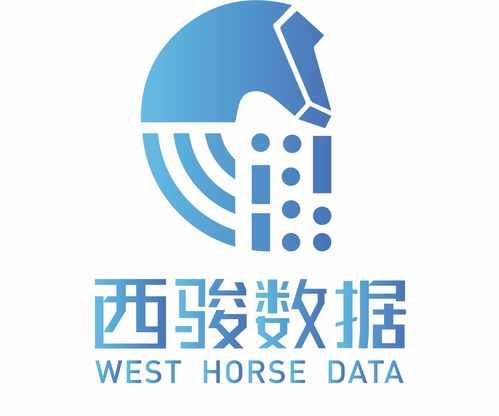 西骏数据项目信息平台与软件销售策略分析